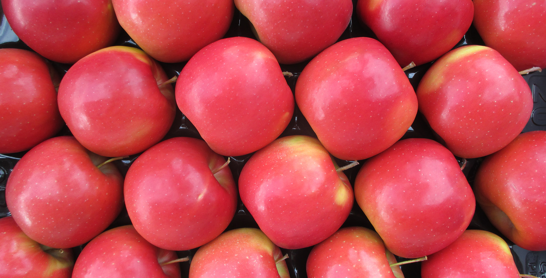 Bonita apples in a box