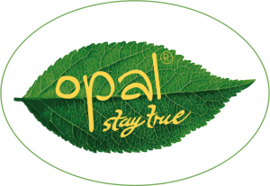 Opal logo EU