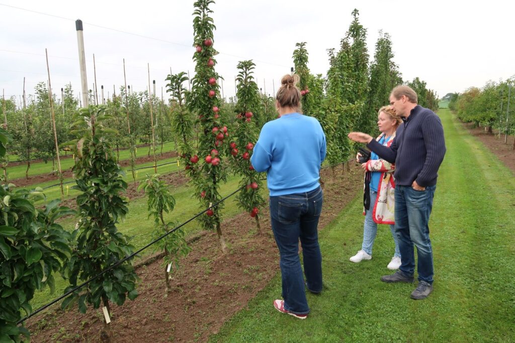 Visitors from Minitree in the orchard at Střížovice breeding station