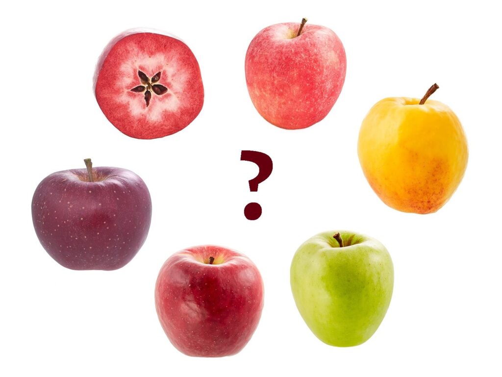 Our future apple varieties