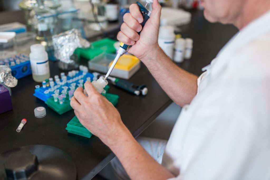 Basic research at Střížovice breeding station