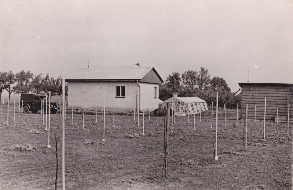 The oldest photo of the Station of Apple Breeding