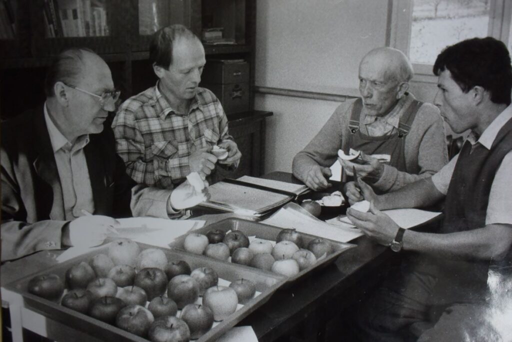 Jaroslav Tupý, Otto Louda and Jan Zima during apple tasting