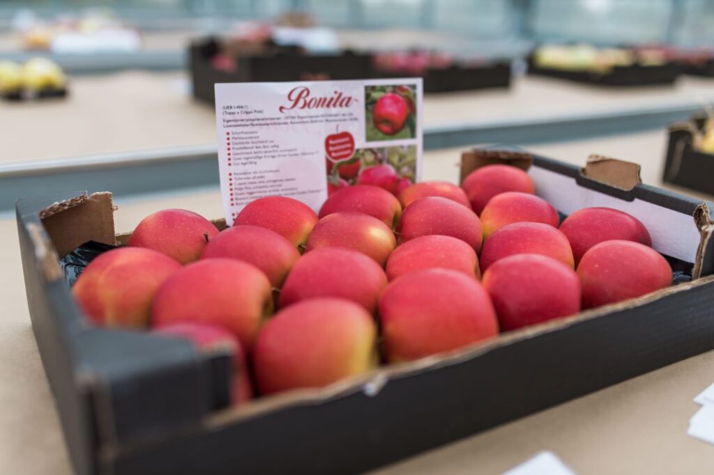 Bonita apples in a box