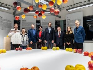 Exhibition Apples with a story (Jablka s příběhem)