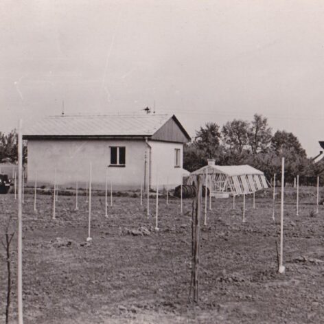 The oldest photo of the Station of Apple Breeding