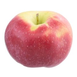 ‘Admiral’ Admiral - fruit