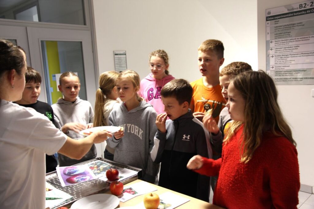 Open Days at the Institute of Experimental Botany in Prague