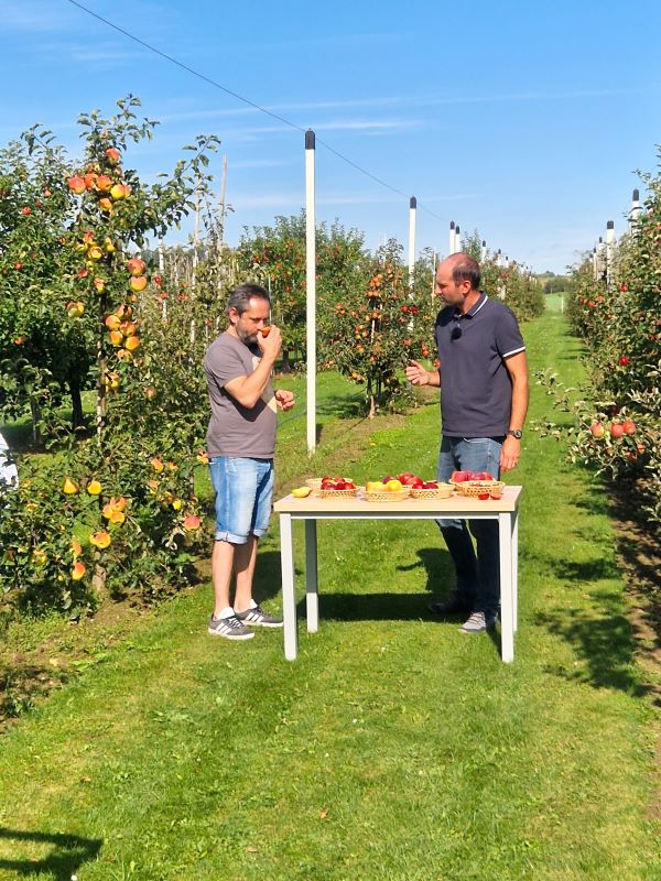 TV show Polopatě in apple orchard Střížovice