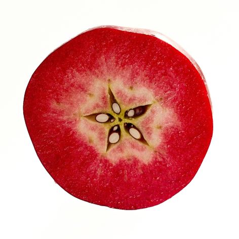 UEB 47721 single fruit cut