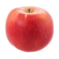 Orange Crisp UEB 6481 single fruit