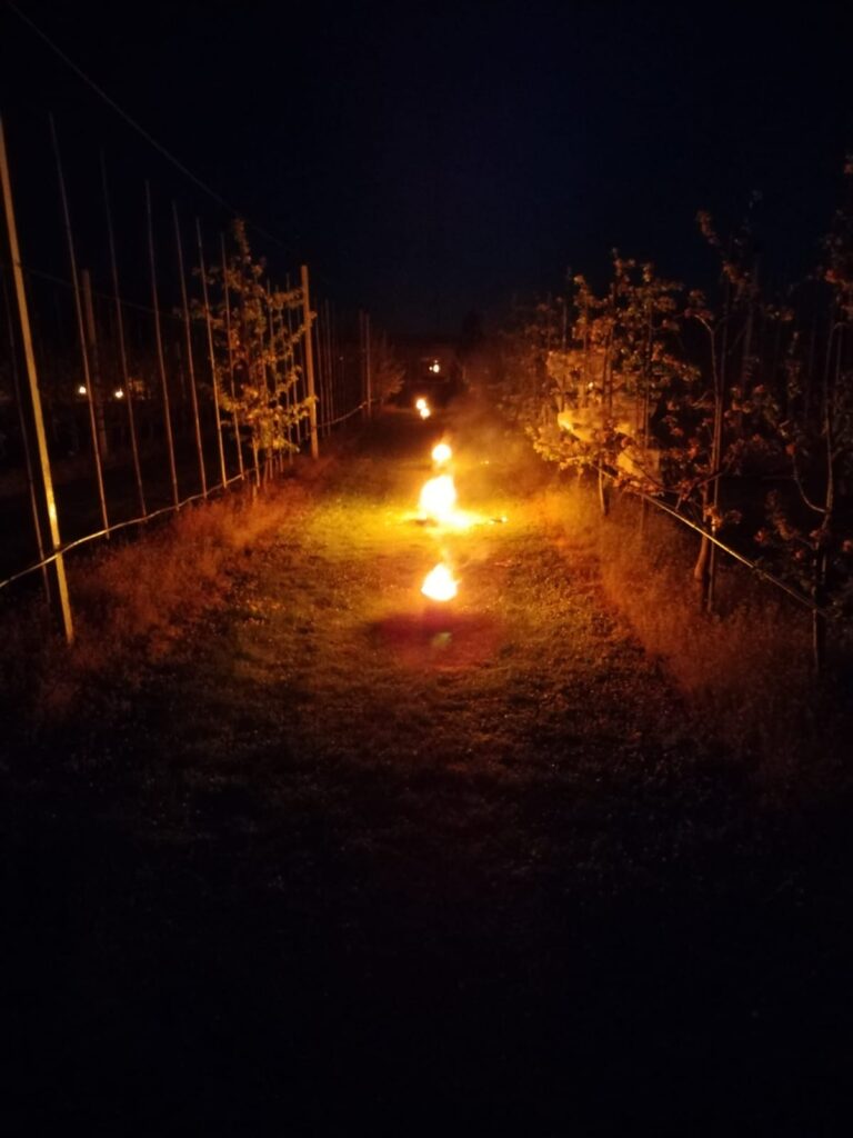 Candles protected apple orchard from late frost
