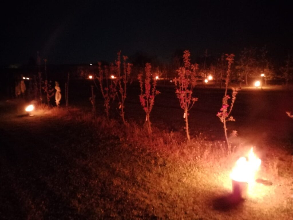 Candles protected apple orchard from late frost