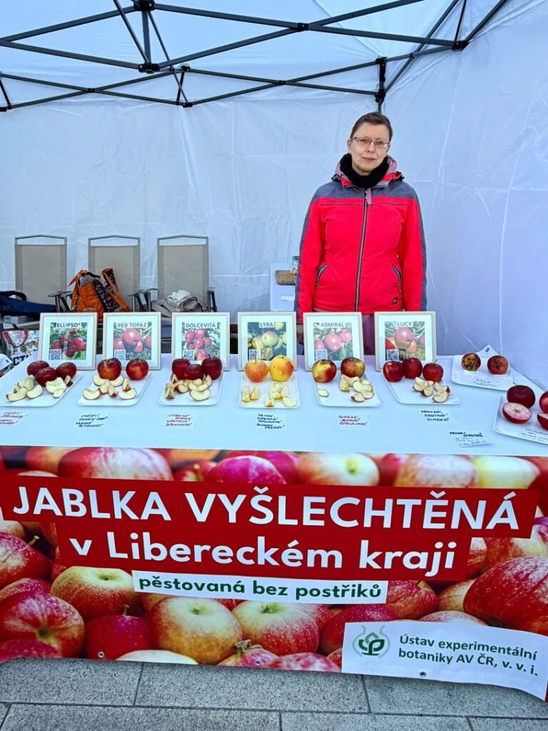Apples from Střížovice at the Liberec Regional Authority building