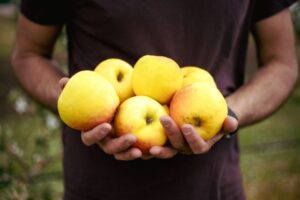 Lyra apples
