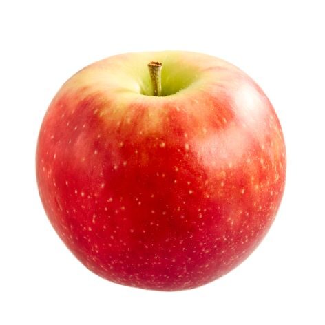Athlet 4848-2 single fruit