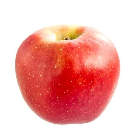 Redspring single fruit