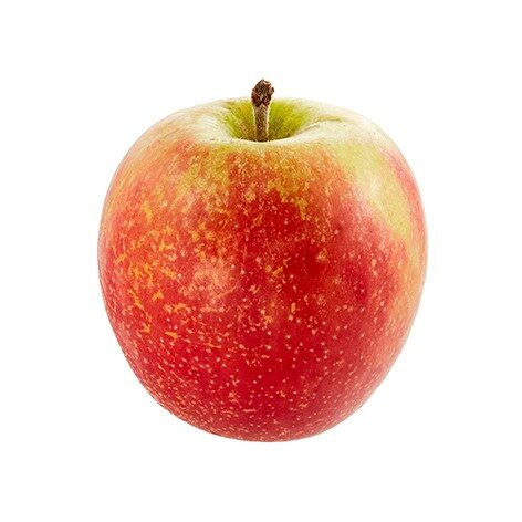 Acrobat single fruit