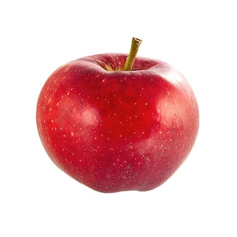 Juno single fruit